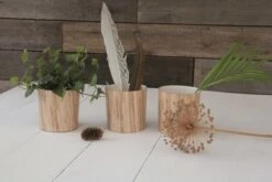 Revêtement Adhésif Shanghai, Beige Clair, 2 M X 0.45 M