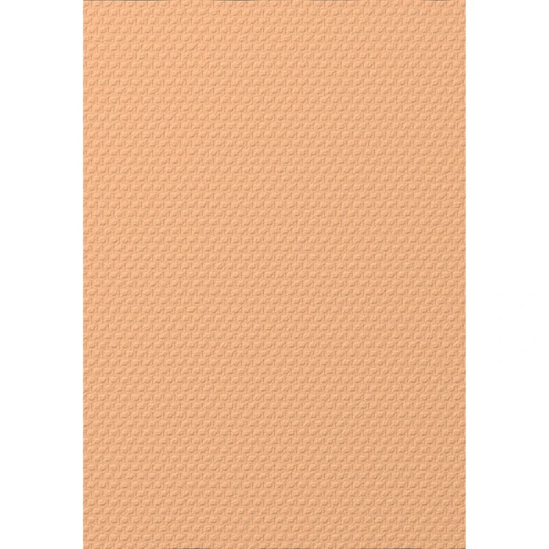 Fibre De Verre 100 G/m² Maille, Prépeint 1 Fibre De Verre 100 G/m² Maille, Prépeint