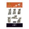 Sticker Mini Chatons 10.6 Cm X 16.8 Cm
