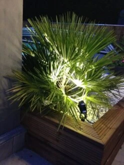 Spot à Piquer Extérieur LED Intégrée 300 Lm Noir Cob LUMIHOME