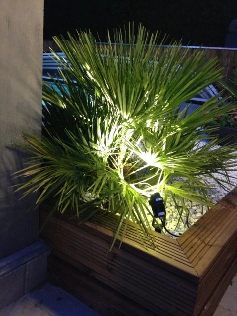 Spot à Piquer Extérieur LED Intégrée 300 Lm Noir Cob LUMIHOME 1 Spot à Piquer Extérieur LED Intégrée 300 Lm Noir Cob LUMIHOME