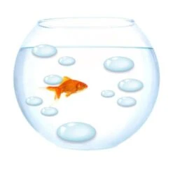 Sticker Gouttes D’eau 15 Cm X 23.5 Cm