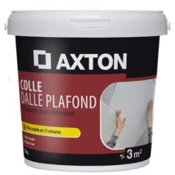 Colle Polystyrène Dalle Plafond AXTON, 1 Kg
