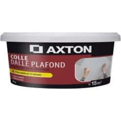 Colle Polystyrène Dalle Plafond AXTON, 4 Kg