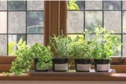 Film Vitrostatique Papier De Riz, Incolore, 2 M X 0.45 M