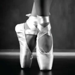 Affiche Paire De Pointes L.14 X H.14 Cm