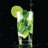 Affiche Mojito Glass L.14 X H.14 Cm