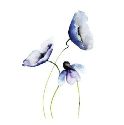 Affiche Aquarelle L.14 X H.14 Cm